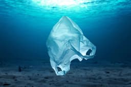 Tauschen Sie Plastiktüten gegen ökologische Papiertüten